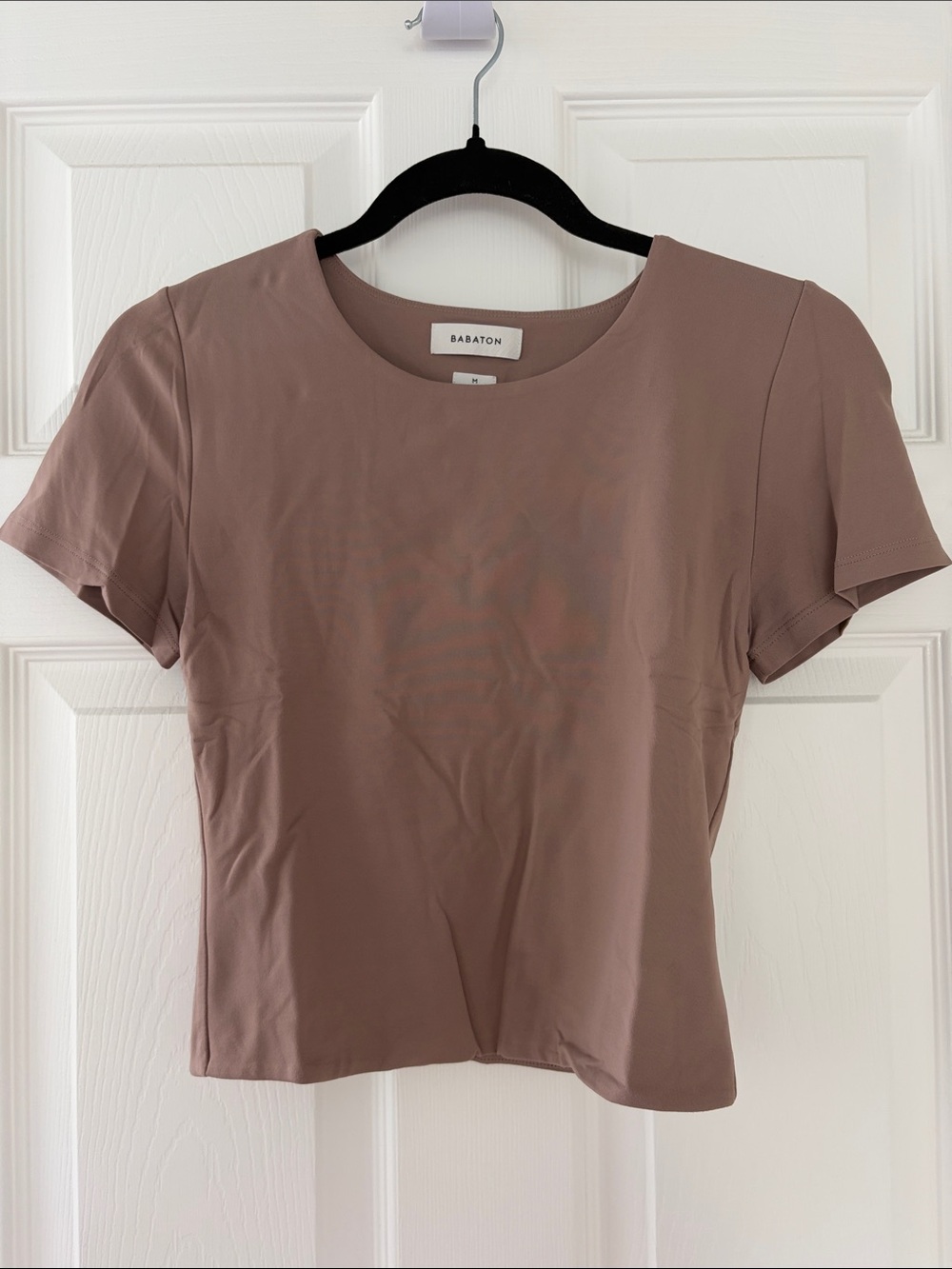 Babaton Short Sleeve Crewneck Top in Mauve Taupe